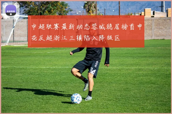 中超联赛最新动态蓉城稳居榜首申花反超浙江三镇陷入降级区