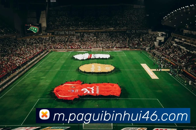 PA贵宾会APP 封面图